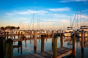 Coconut Dock