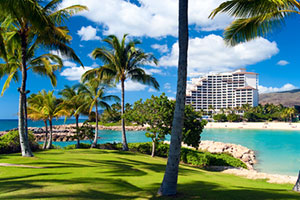 Hotel and palmtrees